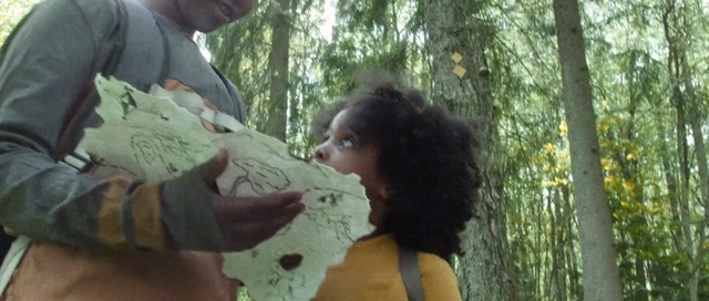 Video Reference: Natural environment, Jungle, Adaptation, Tree, Human, Forest, Organism, Wildlife, Rainforest, Plant