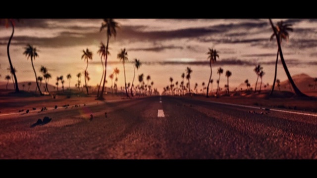 Video Reference: Sky, Horizon, Sunset, Morning, Dusk, Evening, Tree, Sunrise, Calm, Landscape, Person