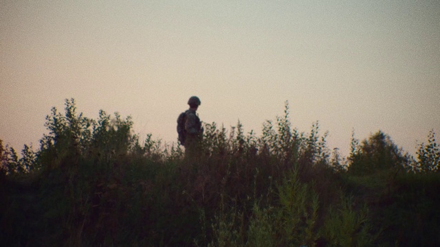 Video Reference: Sky, Plant, Natural landscape, People in nature, Grass, Grassland, Landscape, Horizon, Happy, Wood