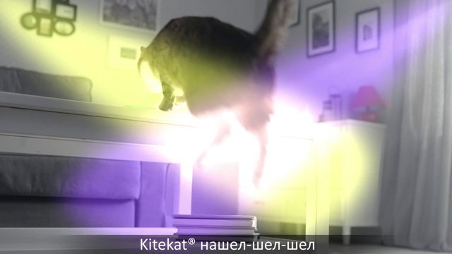 Video Reference: Purple, Fictional character, Animation, Games