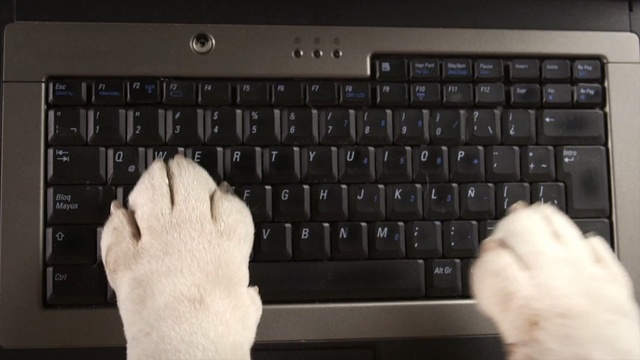 Video Reference: computer keyboard, input device, technology, electronic device, laptop, netbook, space bar, computer hardware, computer component, computer accessory, Person