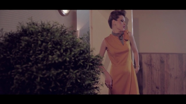 Video Reference: dress, lady, girl, snapshot, purple, screenshot, fashion, human, fun, scene, Person