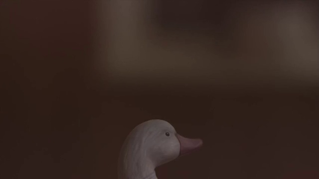 Video Reference: Duck, Nose, Sky, Water bird, Beak, Bird, Cloud, Ducks, geese and swans, Neck, Wildlife