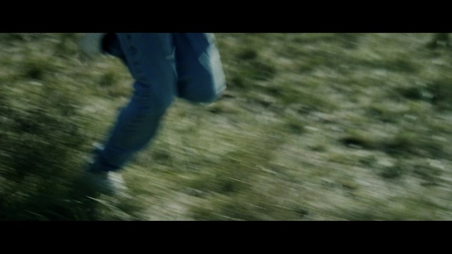 Video Reference: Nature, Grass, Lawn, Tree, Leaf, Photography, Atmosphere, Soil, Sunlight, Plant