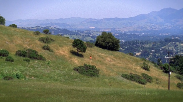 Video Reference: grassland, vegetation, hill, mountainous landforms, ecosystem, pasture, hill station, nature reserve, sky, grass