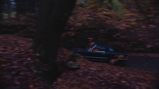 Video Reference: Vehicle, Natural environment, Car, Tree, Forest, Landscape, Automotive exterior, Mid-size car, Night, Jungle