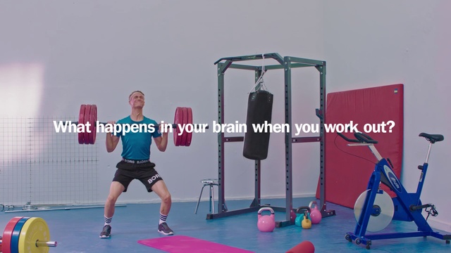 Video Reference: Weights, Exercise equipment, Kettlebell, Shoulder, Arm, Joint, Sports equipment, Physical fitness, Gym, Room, Person