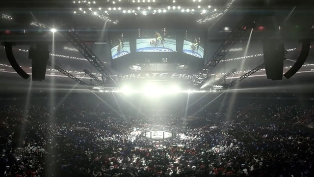 Video Reference: sport venue, structure, stage, atmosphere, entertainment, crowd, arena, concert, darkness, rock concert