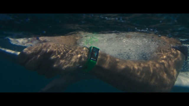 Video Reference: Water, Organism, Underwater, Sea