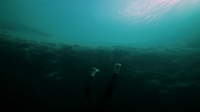 Video Reference: underwater, sea, water, underwater diving, marine biology, scuba diving, ocean, freediving, diving, aquanaut