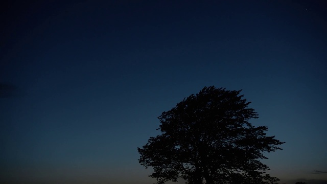 Video Reference: Sky, Blue, Tree, Atmosphere, Atmospheric phenomenon, Cloud, Night, Natural landscape, Darkness, Horizon