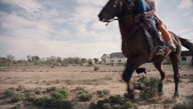 Video Reference: Horse, Stallion, Rein, Ecoregion, Ranch, Mare, Pack animal, Steppe, Working animal, Bridle
