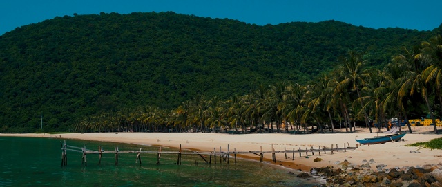 Video Reference: Body of water, Shore, Coast, Natural landscape, Tree, Tropics, Beach, Sea, Water, Coastal and oceanic landforms