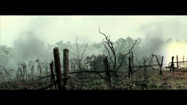 Video Reference: Nature, Atmospheric phenomenon, Natural landscape, Sky, Atmosphere, Branch, Tree, Morning, Photography, Landscape