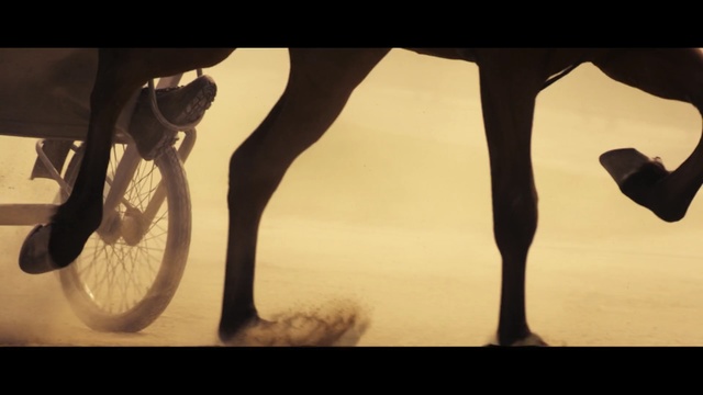 Video Reference: Shadow, Still life photography, Photography, Black-and-white, Visual arts, Stock photography, High heels, Art, Tints and shades, Human leg, Person