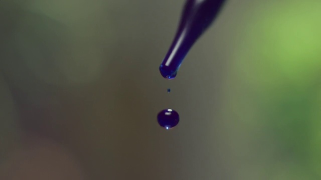 Video Reference: Water, Drop, Macro photography, Moisture, Close-up, Dew, Liquid, Photography, Plant