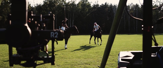 Video Reference: Horse, Bridle, Animal sports, Rein, Halter, Horse tack, Polo, Equestrian sport, Recreation, Sports, Person