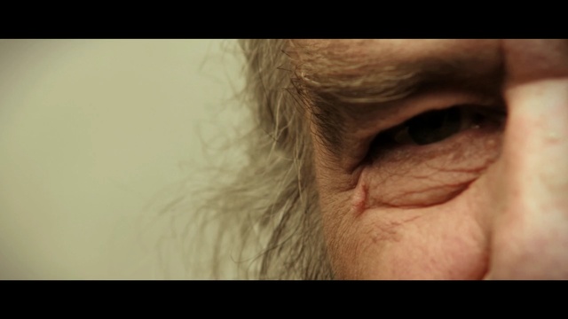 Video Reference: eyebrow, face, hair, nose, cheek, eyelash, eye, skin, wrinkle, forehead