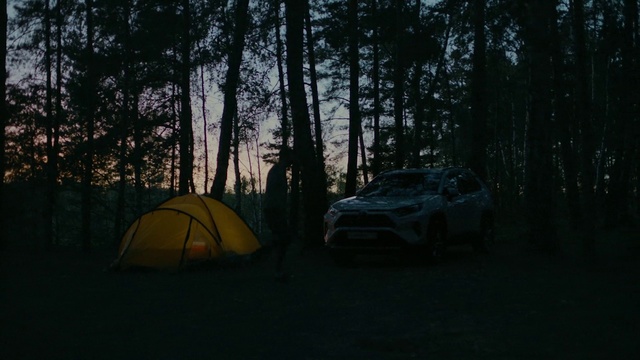 Video Reference: Natural environment, Woodland, Morning, Vehicle, Tree, Forest, Wilderness, Car, Camping, Automotive design