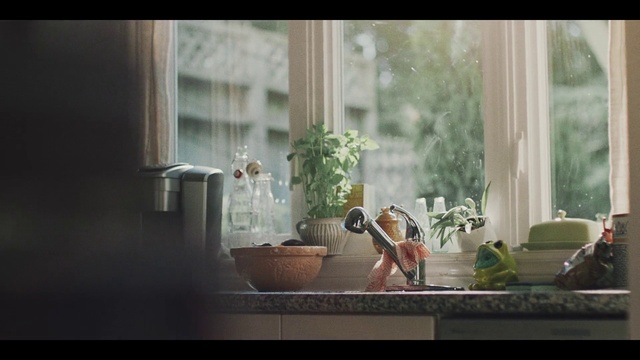 Video Reference: Photograph, Nature, Light, Snapshot, Sunlight, Window, Morning, Leaf, Screenshot, Tree