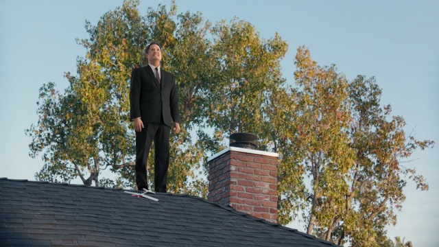 Video Reference: tree, woody plant, roof, sky, plant, outdoor structure, building, Person