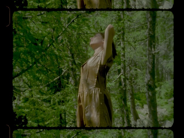 Video Reference: Nature, Green, Natural environment, Tree, Vegetation, Forest, Sculpture, Trunk, Woodland, Statue