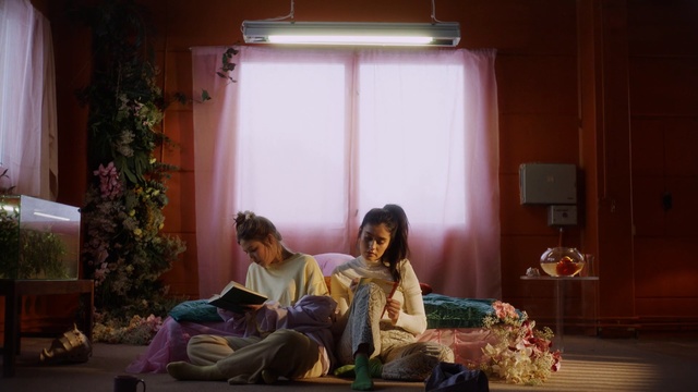 Video Reference: Drama, Room, Scene, Sitting