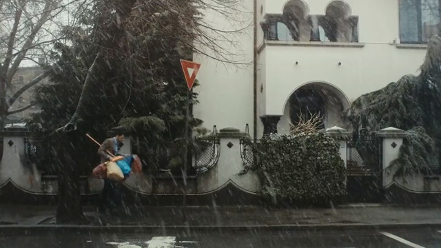 Video Reference: tree, water, vehicle, recreation, rain