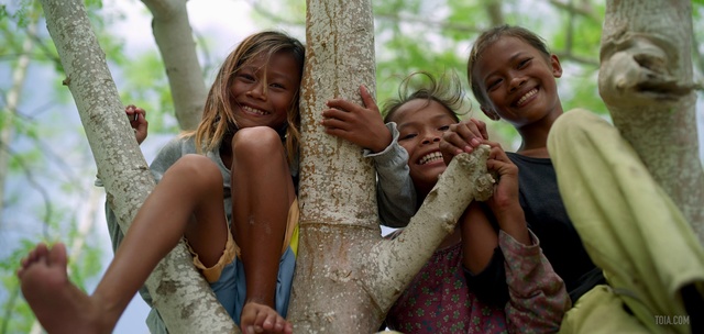 Video Reference: People, Child, Adaptation, Fun, Community, Tree, Human, Plant, Smile, Happy