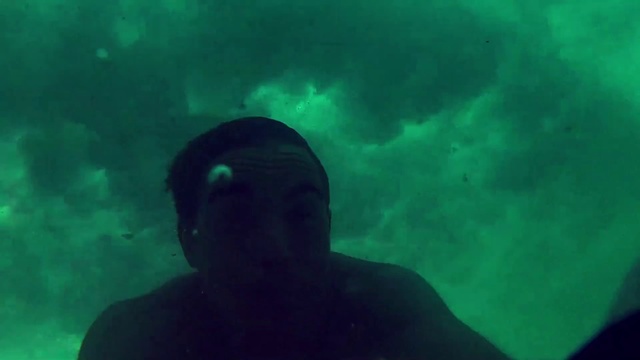 Video Reference: Underwater, Marine biology, Underwater diving, Water, Organism, Freediving, Scuba diving, Recreation, Marine mammal, Divemaster