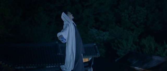 Video Reference: darkness, night, light, atmosphere, screenshot, sky, tree, midnight