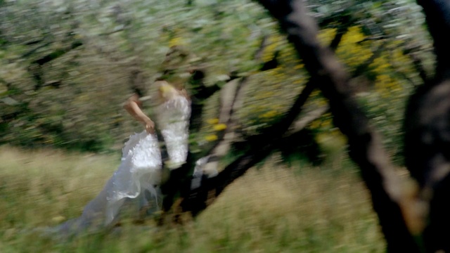 Video Reference: tree, woody plant, woodland, grass, plant, leaf, forest, wildlife, sunlight, landscape, Person