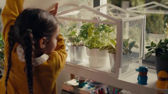 Video Reference: Houseplant, Botany, Plant, Organism, Art, Glass, Painting, Window, Interior design, Flower
