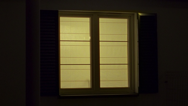 Video Reference: Window, Door, Wall, Architecture, Wood, Daylighting, Room, Window covering, Tints and shades, Glass