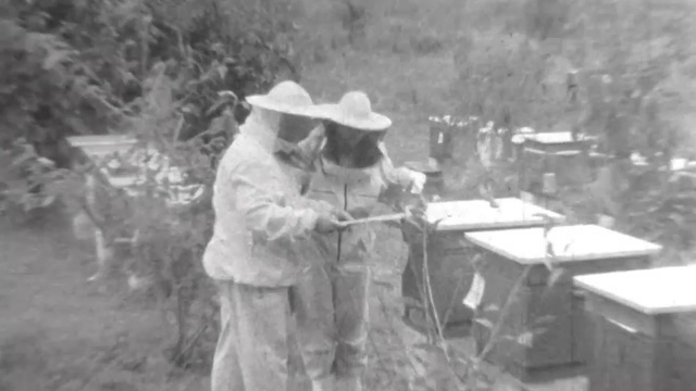 Video Reference: Photograph, Snapshot, Photography, Monochrome photography, Black-and-white