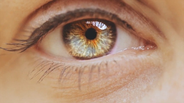 Video Reference: Eye, Iris, Eyelash, Eyebrow, Skin, Close-up, Face, Organ, Blue, Brown, Person