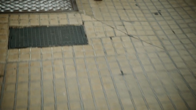 Video Reference: floor, flooring, wood, road surface, line, tile, material, wood stain, hardwood, daylighting