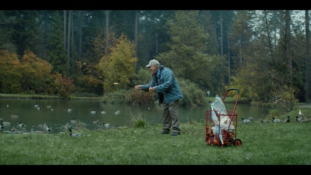 Video Reference: Nature, Outdoor recreation, Recreational fishing, Recreation, Wilderness, Grass, Lawn, Leaf, Fly fishing, Pond