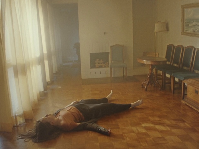 Video Reference: Floor, Hardwood, Laminate flooring, Flooring, Wood flooring, Room, Wood, Interior design, Wood stain