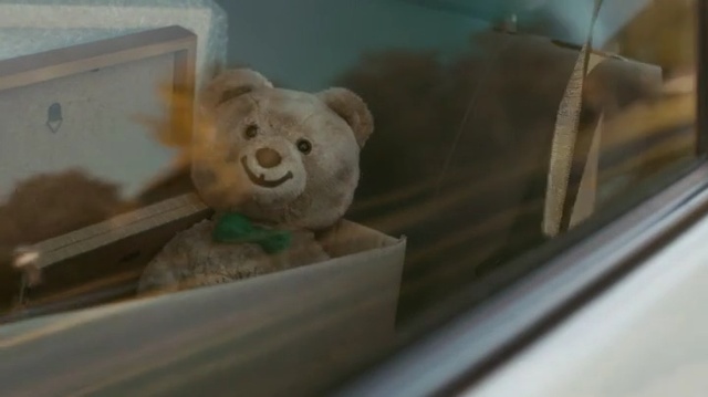 Video Reference: Teddy bear, Snout, Room, Toy