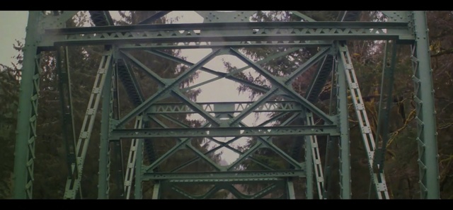 Video Reference: landmark, iron, structure, architecture, symmetry, metal, tree, material, screenshot, facade