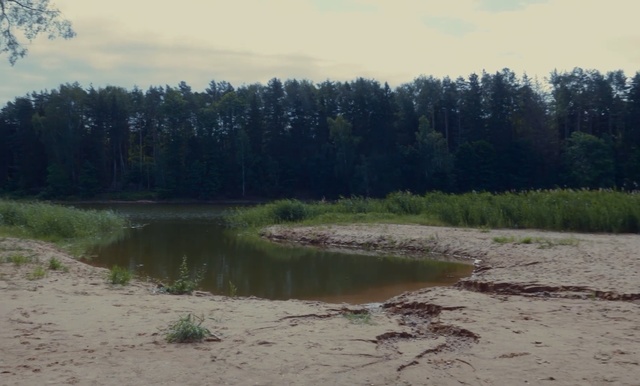 Video Reference: Natural landscape, Natural environment, Nature, Bank, Water resources, Wilderness, Wetland, Nature reserve, Floodplain, River, Outdoor, Grass, Water, Standing, Man, Field, Forest, Green, Body, Lake, Large, Horse, Grazing, Riding, Group, White, Beach, Herd, Tree, Sky, Shore