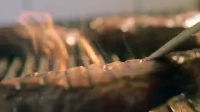 Video Reference: Grilling, Barbecue, Churrasco food, Arrosticini, Skewer, Finger food, Cooking