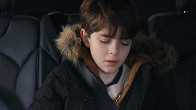 Video Reference: Face, Hair, Fur, Cheek, Fur clothing, Hairstyle, Nose, Eye, Human, Child, Person