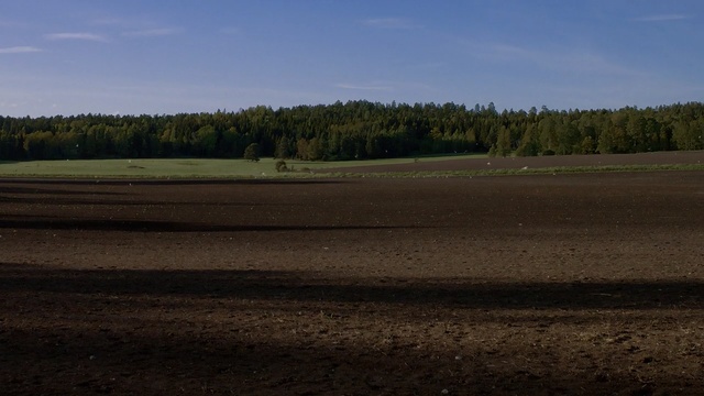 Video Reference: Plain, Field, Natural environment, Horizon, Ecoregion, Sky, Morning, Rural area, Soil, Grassland
