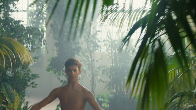 Video Reference: Vegetation, Jungle, Tree, Palm tree, Arecales, Plant, Attalea speciosa, Tropics, Terrestrial plant, Elaeis, Person