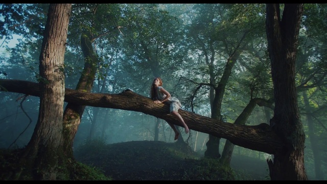 Video Reference: Tree, Natural environment, Forest, Jungle, Branch, Woody plant, Organism, Woodland, Plant, Old-growth forest, Person, Outdoor, Grass, Park, Sitting, Large, Man, Standing, Bird, Perched, Field, Water, Bench, Young, Giraffe, Grassy, Enclosure, Clothing