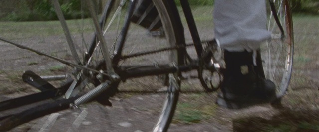 Video Reference: Bicycle wheel, Bicycle part, Bicycle tire, Bicycle, Spoke, Bicycle frame, Bicycle drivetrain part, Tire, Wheel, Vehicle, Outdoor, Grass, Sitting, Wooden, Black, Holding, Bench, Bird, Standing, Woman, Parked, Park, Motorcycle, Table, Laying, Dirt, White, Man, Umbrella, Street, Cat, Red, Ground, Land vehicle, Bike, Sports equipment