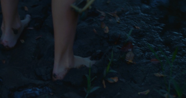 Video Reference: Blue, Leg, Water, Darkness, Leaf, Sky, Adaptation, Hand, Night, Human leg