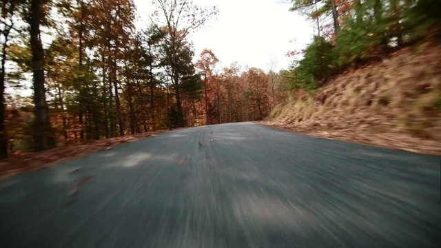 Video Reference: Asphalt, Road, Road surface, Thoroughfare, Tree, Infrastructure, Road trip, Tar, Lane, Landscape